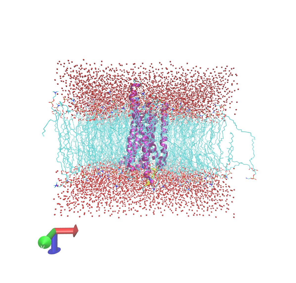 amber-membrane-protein-simulation-from-victor-ma-on-2015-05-26-amber-archive-may-2015